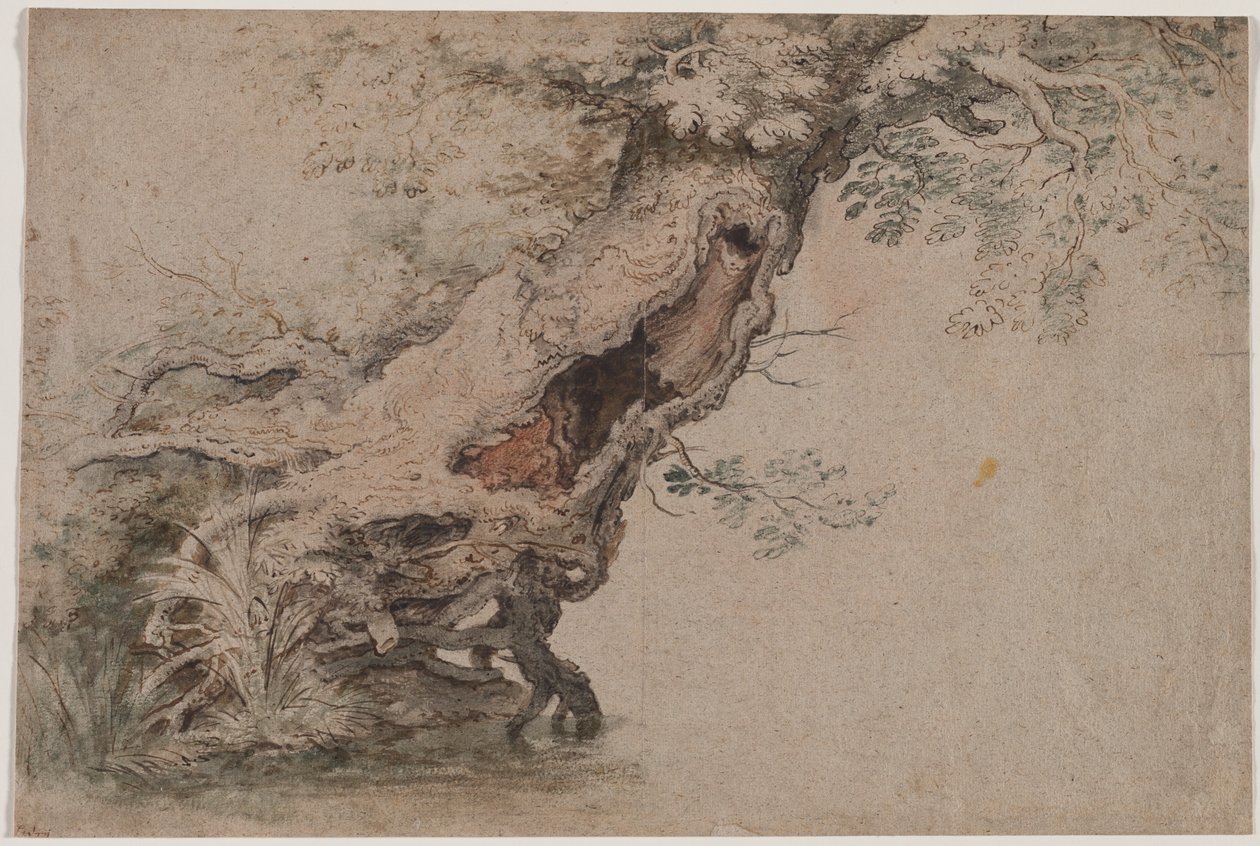 Albero Cavo, dopo Roelant Savery, dopo il 1670 da Lambert Doomer