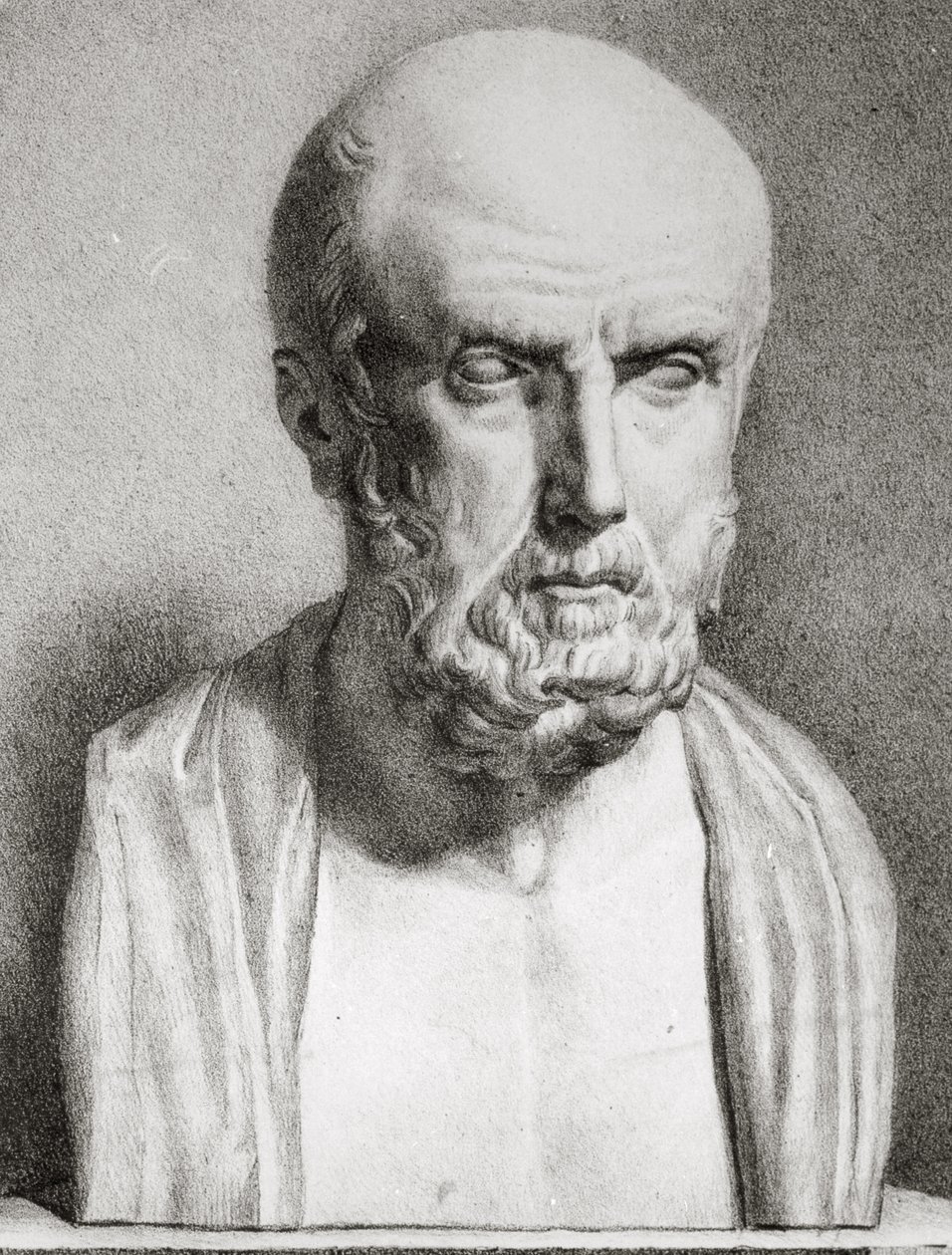 Ritratto di Ippocrate (dettaglio) da Langlume