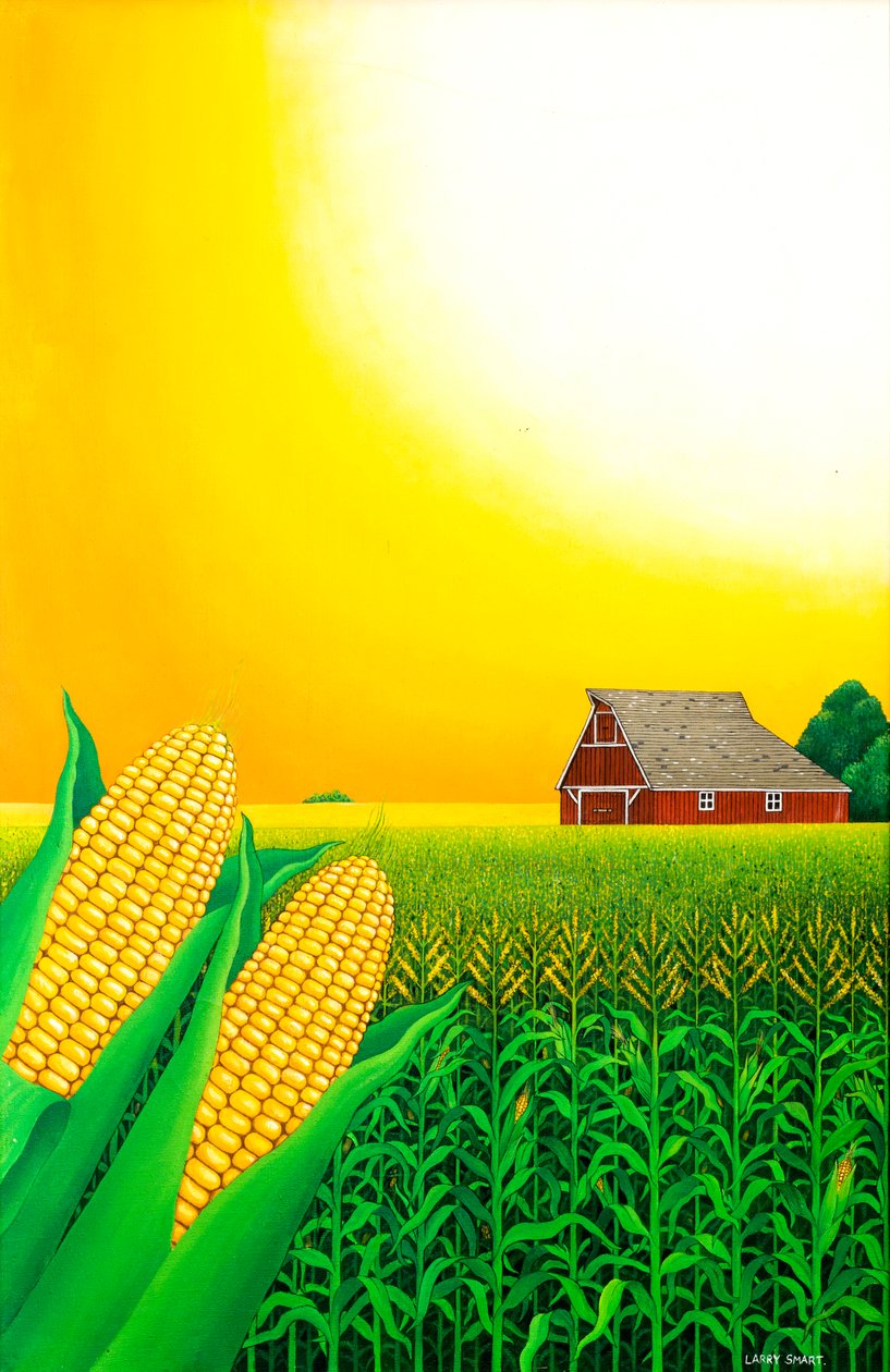 Campo di mais del Nebraska, 1993 da Larry Smart