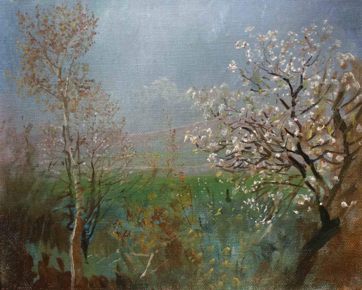 Albero in fiore da Laszlo Mednyanszky