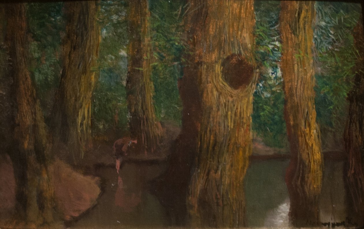 Dentro la foresta da Laszlo Mednyanszky