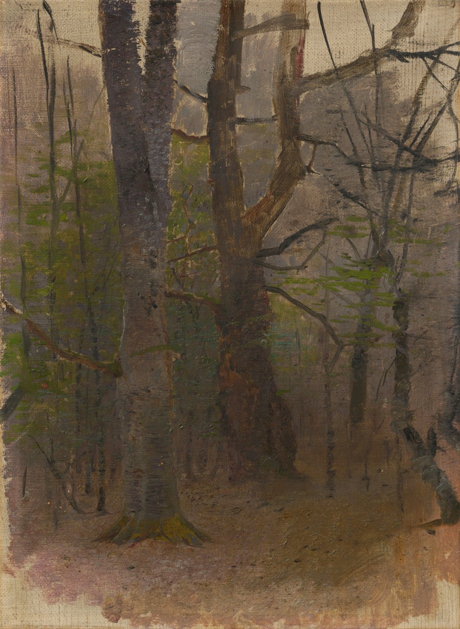 Inizio primavera. Foresta da Laszlo Mednyanszky