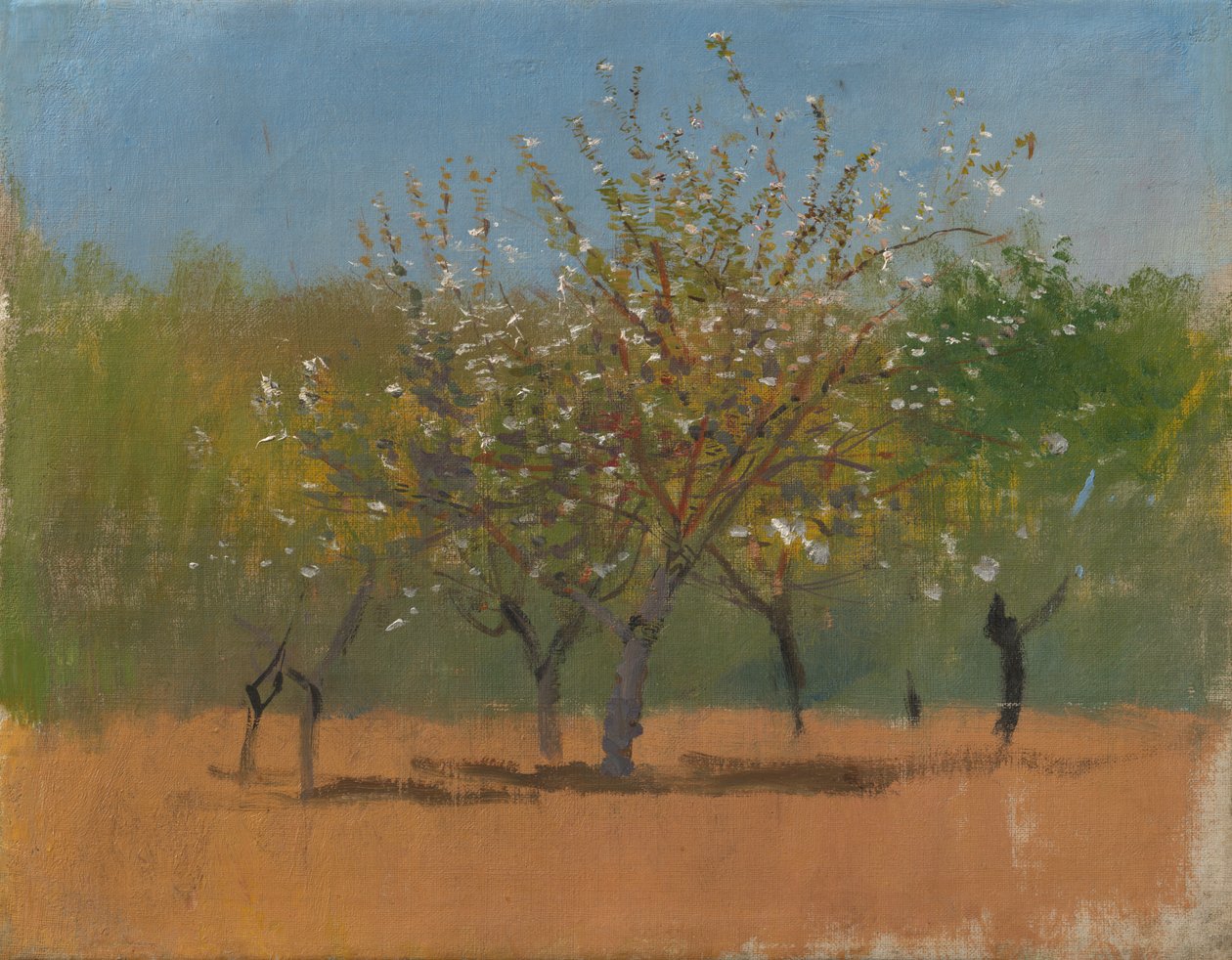 Alberi in fiore da Laszlo Mednyanszky