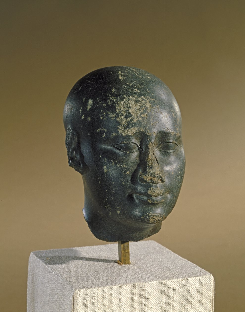 Testa di un uomo con cranio ovoidale da Late Period Egyptian
