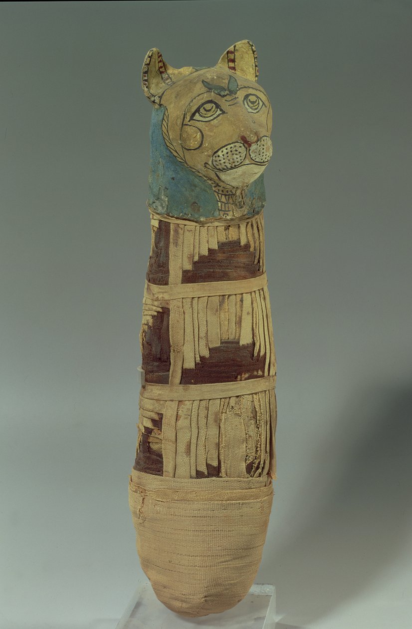 Gatto mummificato da Late Period Egyptian
