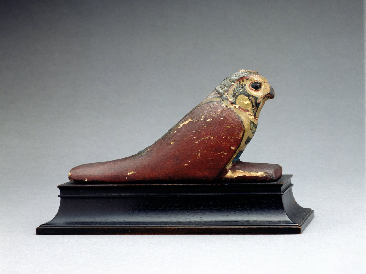Falco mummificato da Late Period Egyptian
