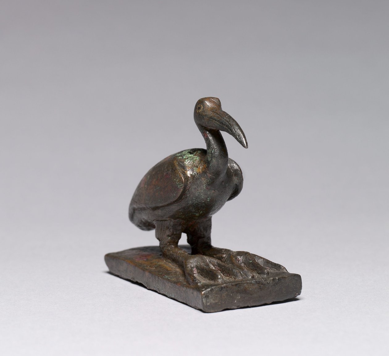 Ibis, 664-30 a.C. da Late Period Egyptian