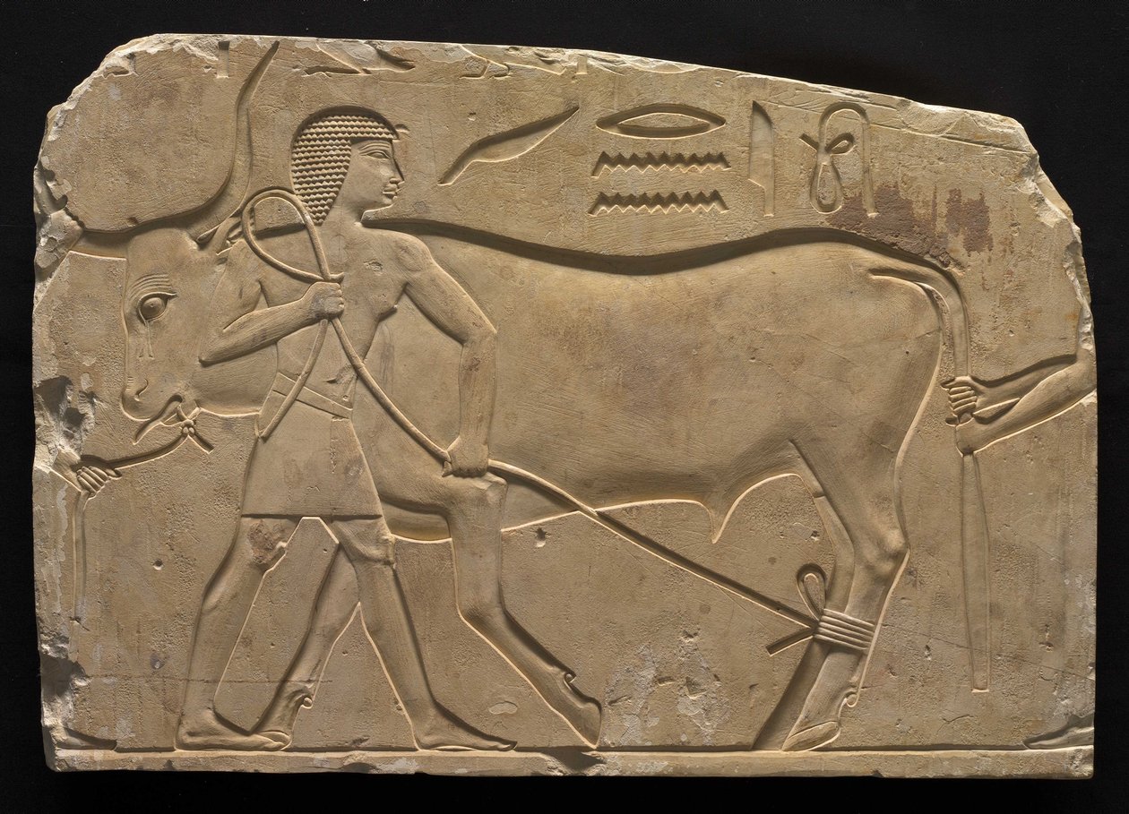 Uomini che legano un bue da Late Period Egyptian