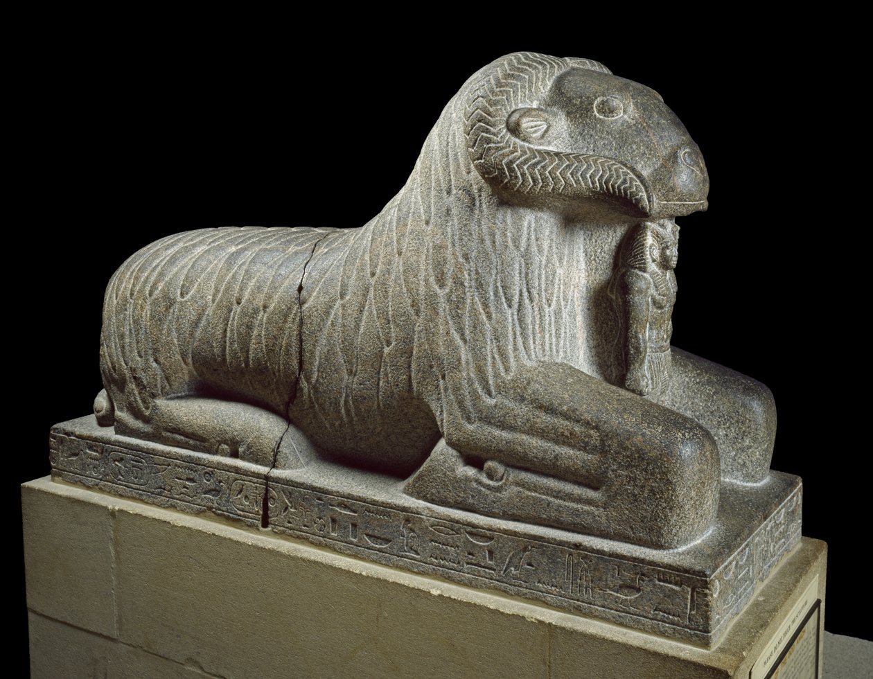 Statua del montone di Amon, c.680 a.C. da Late Period Egyptian