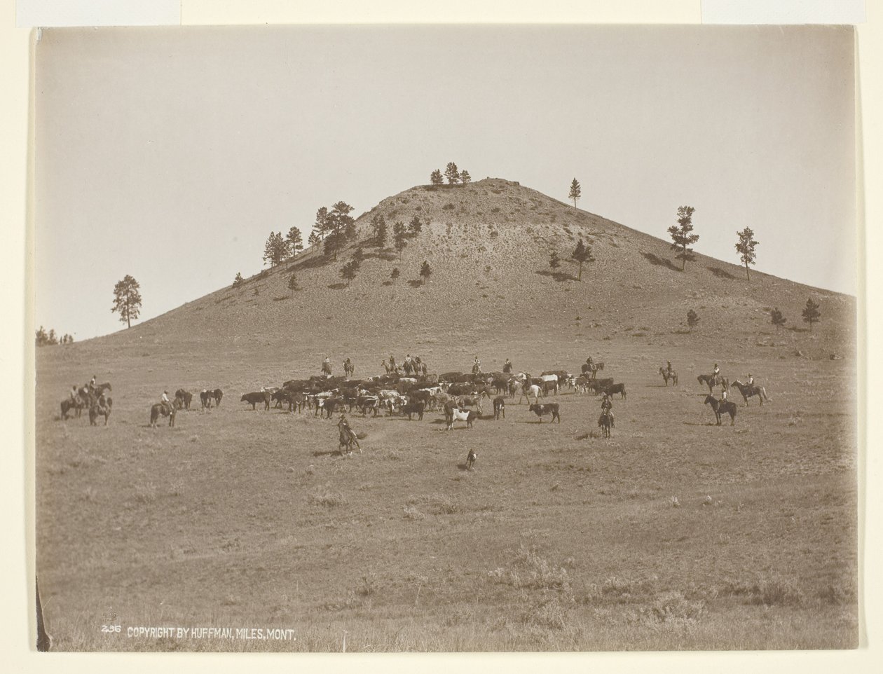 Lavorando un piccolo mazzo sulle colline da Laton Alton Huffman