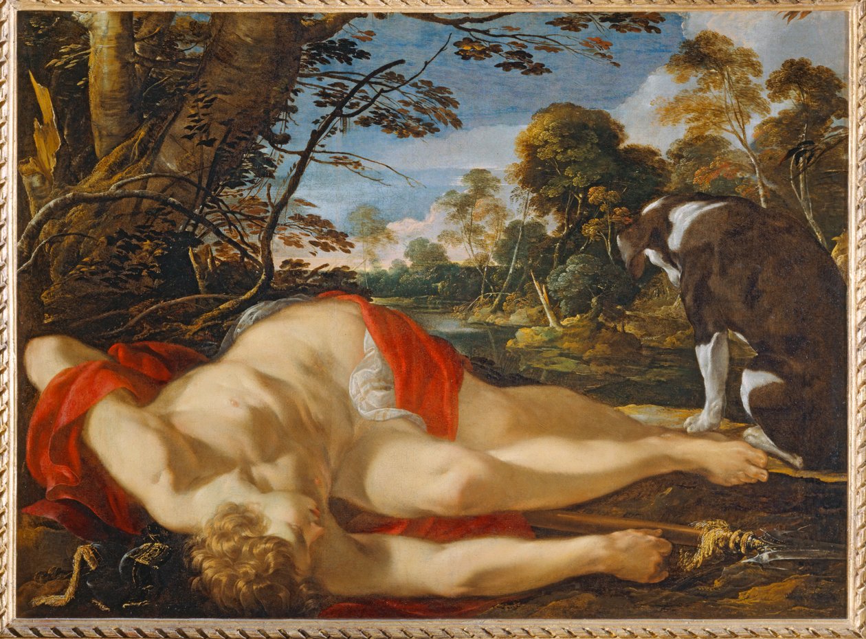 Adonis mort - Morte di Adone. Versi 1624-1628 ... da Laurent de (workshop of) La Hyre
