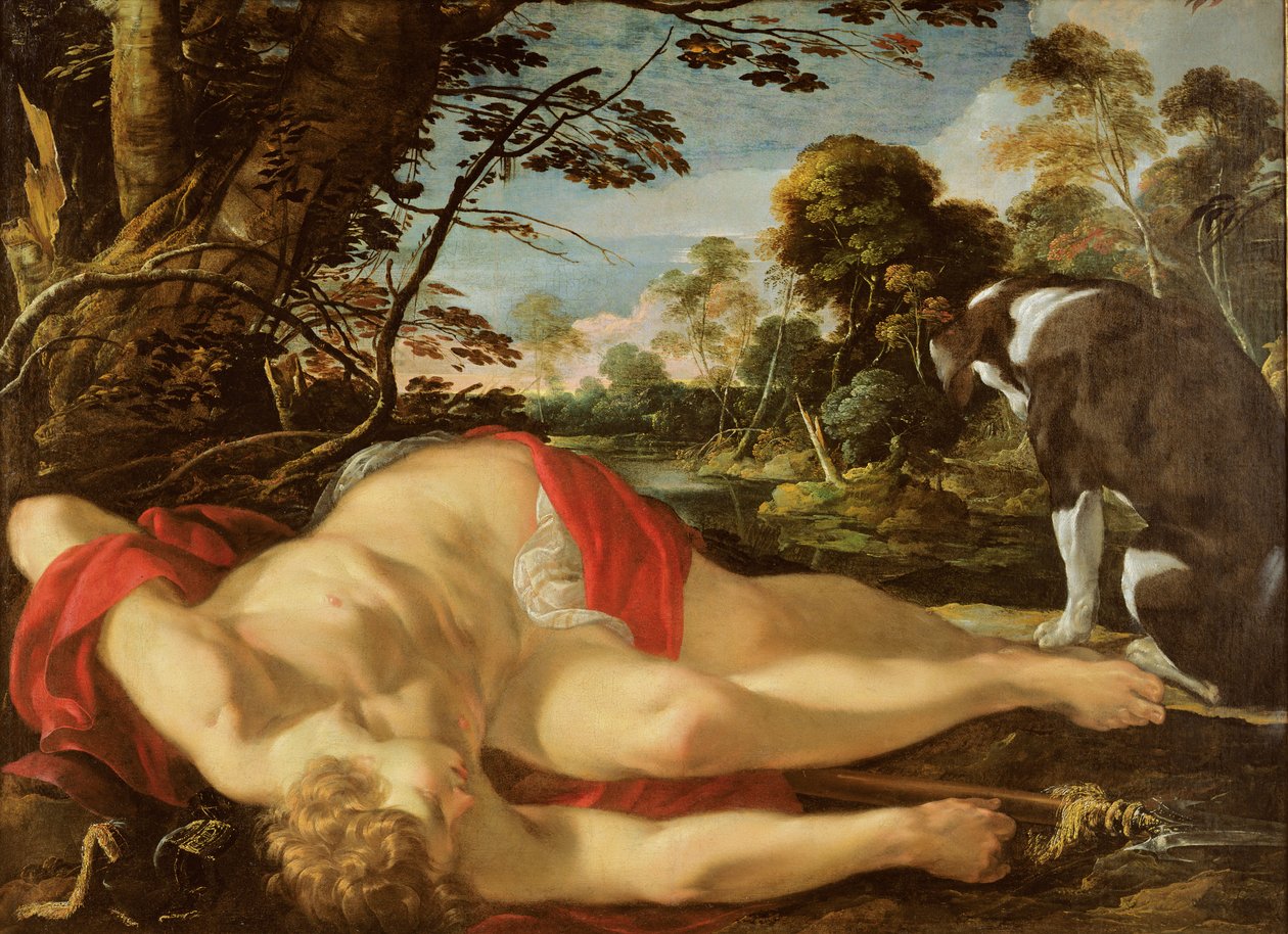 Adone Morto, c.1624-28 da Laurent de la Hyre