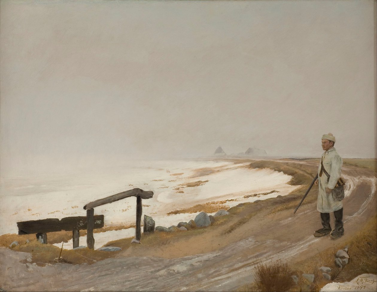 Giornata invernale nebbiosa. Karrebæksminde da Laurits Andersen Ring