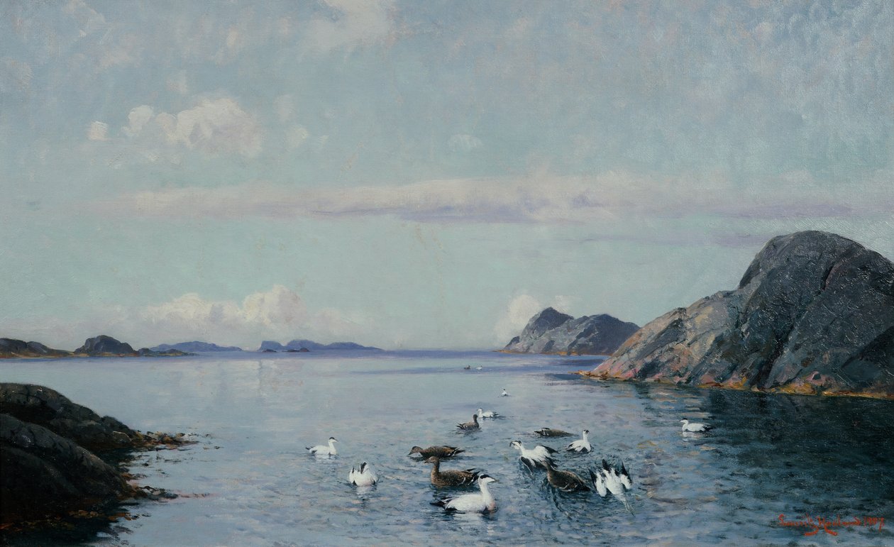 Costa meridionale con uccelli marini da Lauritz Haaland