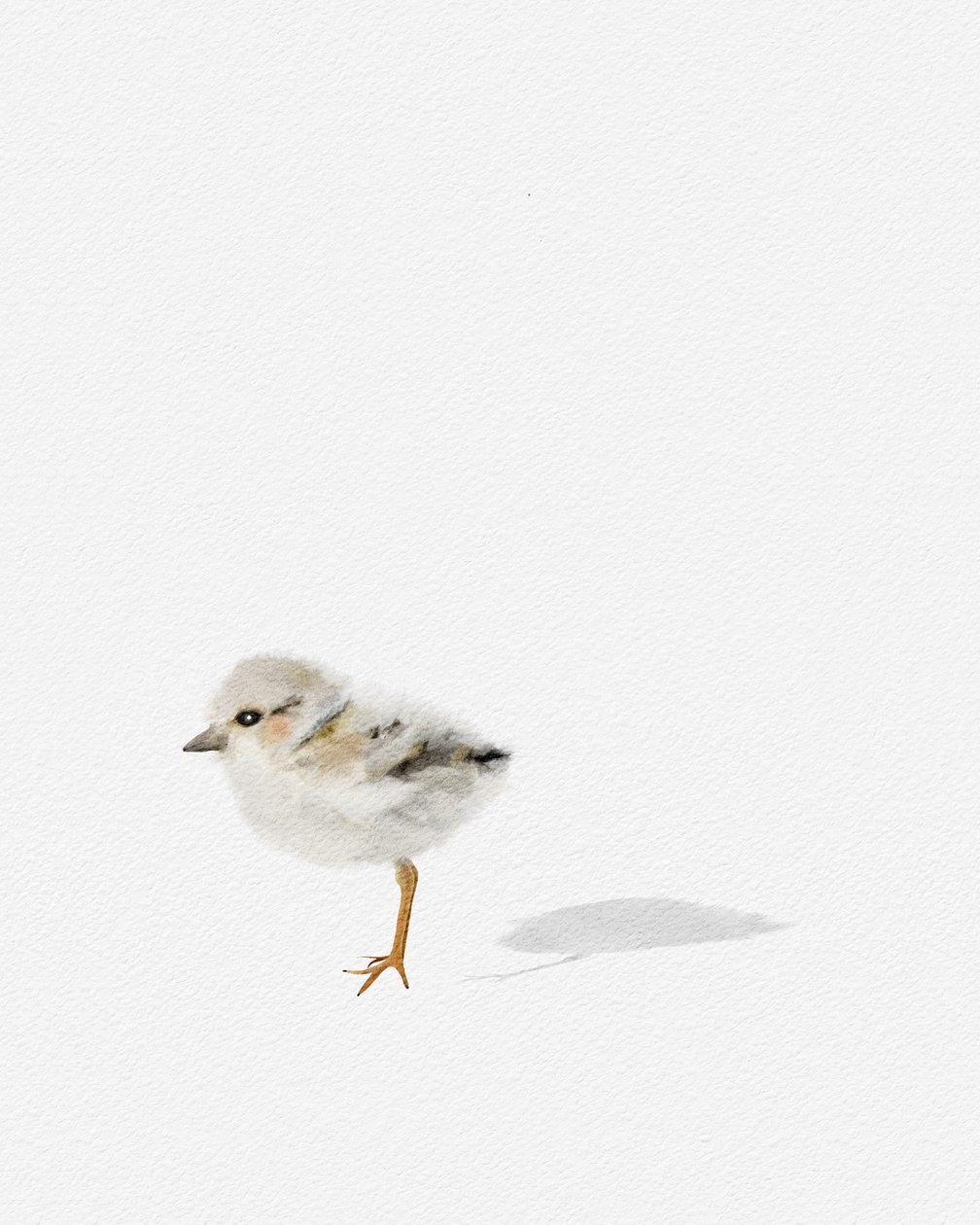 Uccello di riva, c.2021 da Leah Straatsma