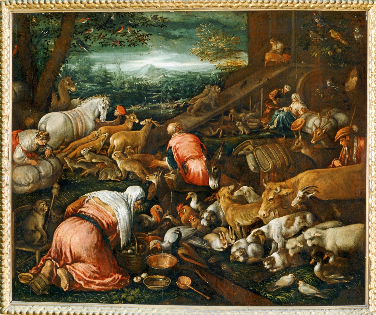 Animali che entrano nell