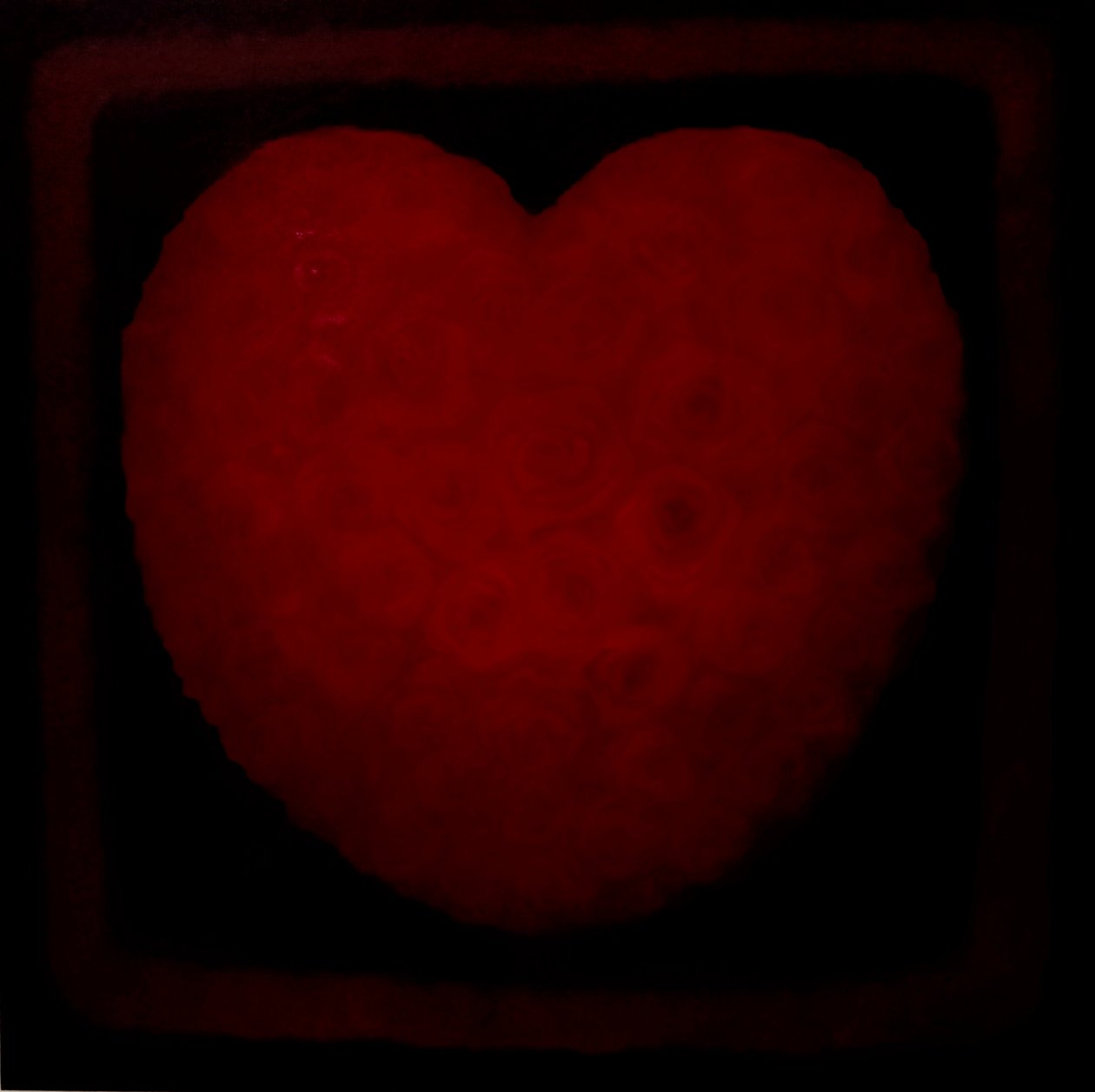 Grande Amore, 2021 da Lee Campbell