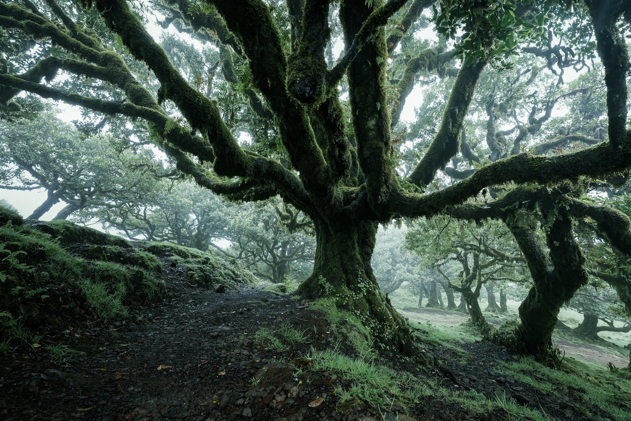 Terra dimenticata II, 2025 (foto) da Lee Cooper