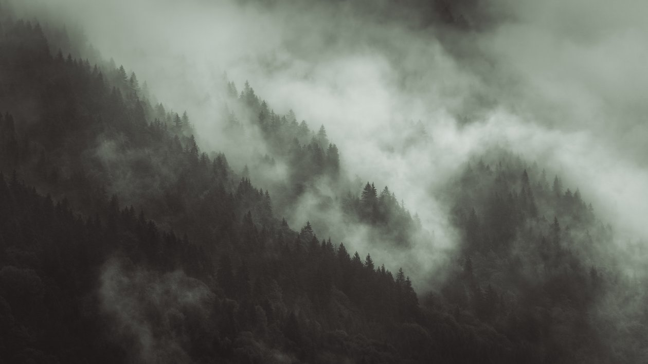 Tangled, 2022 (foto) da Lee Cooper