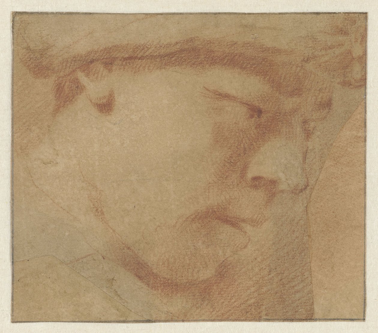 Testa di un ragazzo, verso destra da Leendert van der Cooghen (manner of)