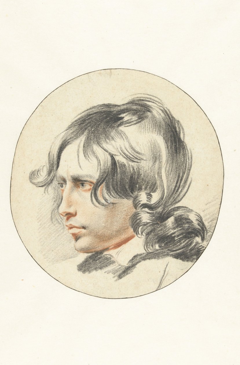 Testa di un ragazzo da Leendert van der Cooghen