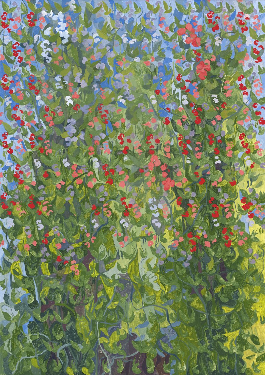 Piselli odorosi, 2014 da Leigh Glover