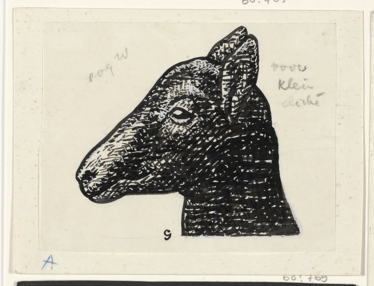 Testa di un agnello da Leo Gestel (signed by artist)