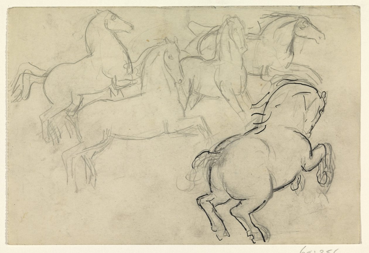 Cavalli al galoppo da Leo Gestel