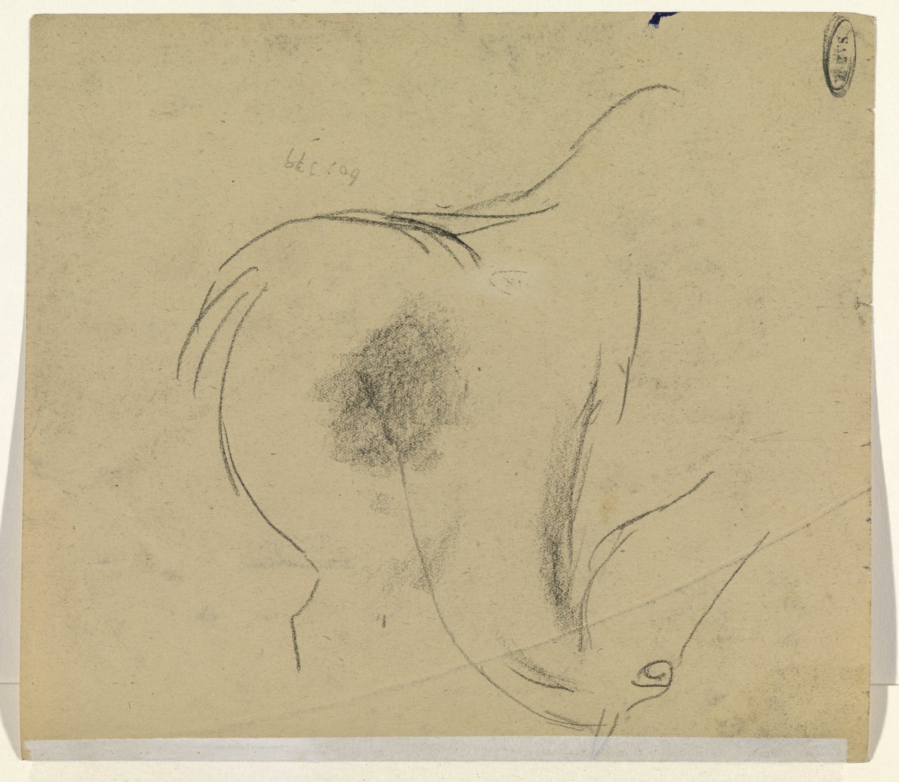 Testa di cavallo da Leo Gestel
