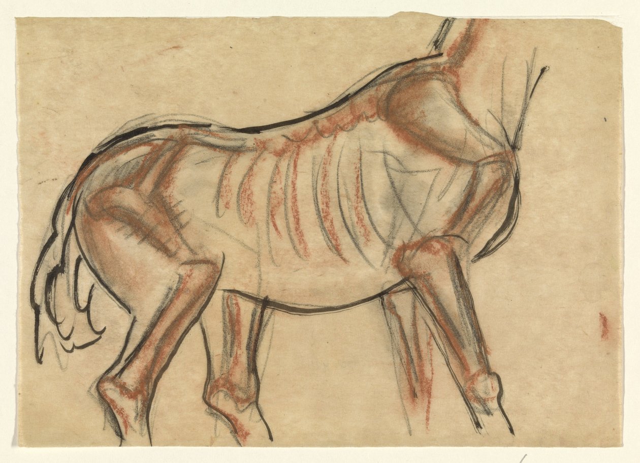 Scheletro di un cavallo da Leo Gestel