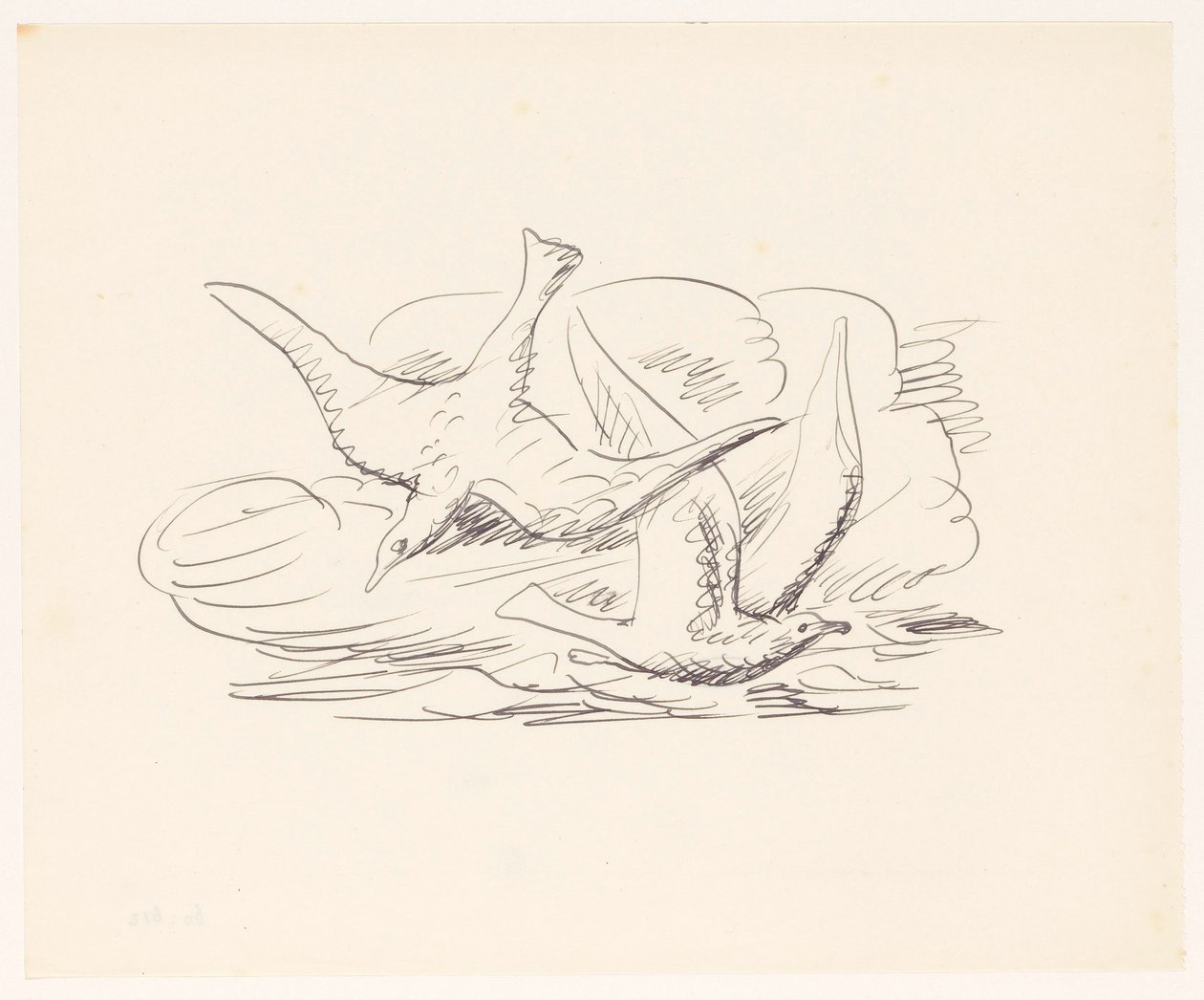 Due gabbiani da Leo Gestel