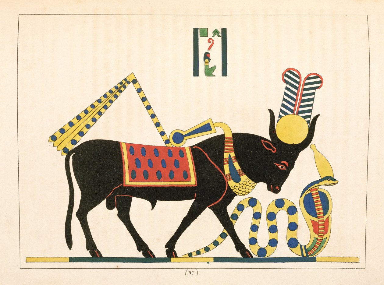 Il toro Apis, illustrazione da Pantheon egiziano: collezione dei personaggi mitologici dell