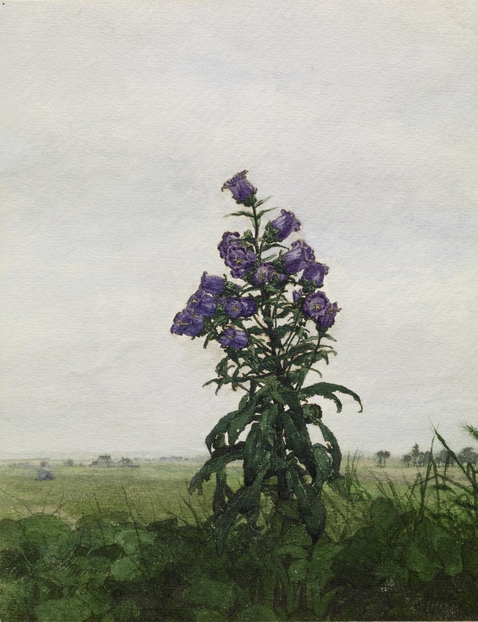 Campanula davanti a un paesaggio da Léon Bonvin