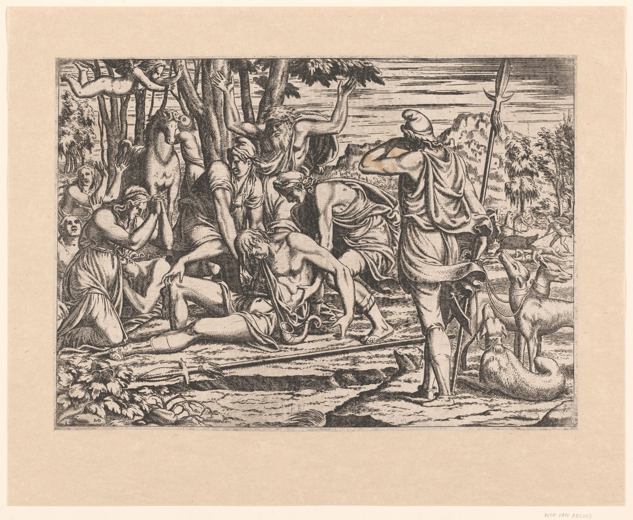 Morte di Adone da Leon Davent