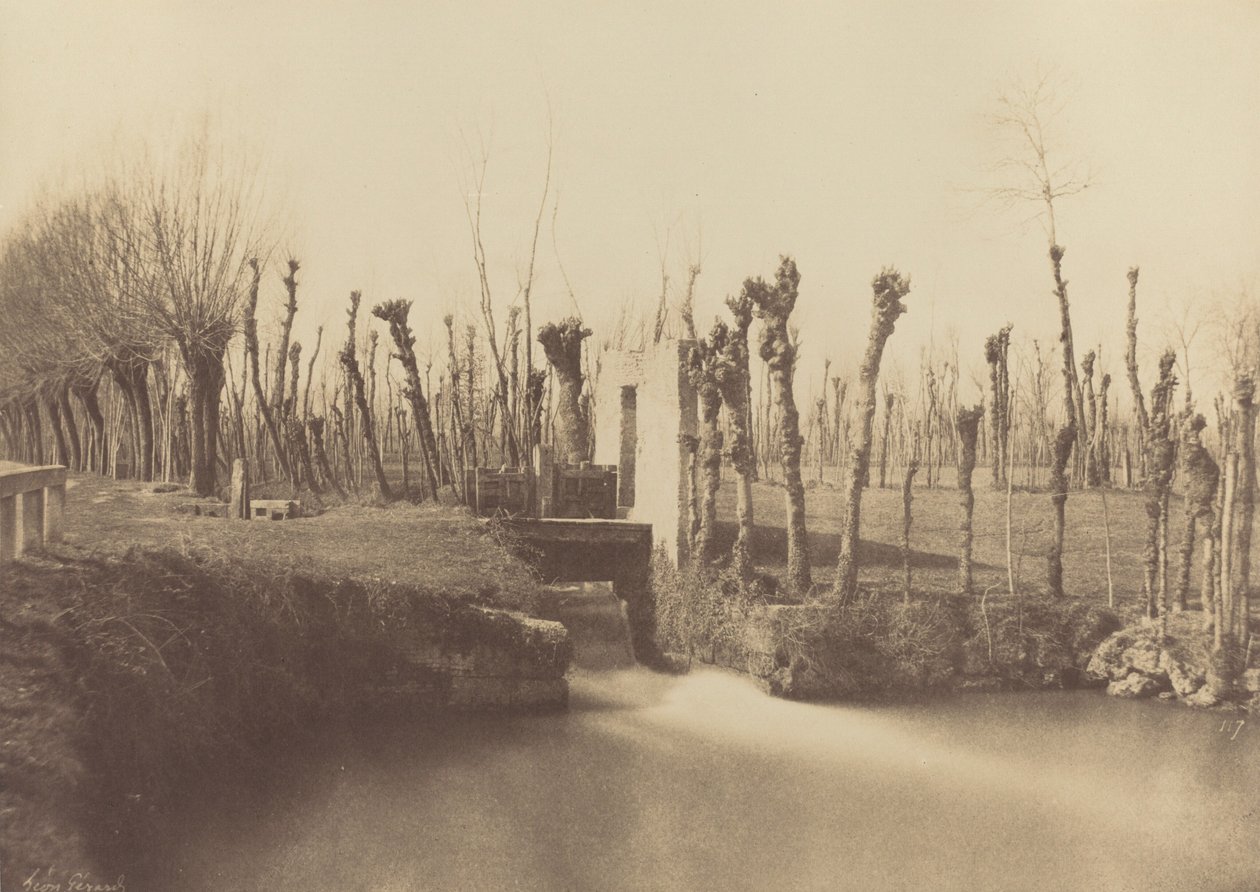 Paesaggio, Montebello, c. 1860 (foto) da Léon Gérard