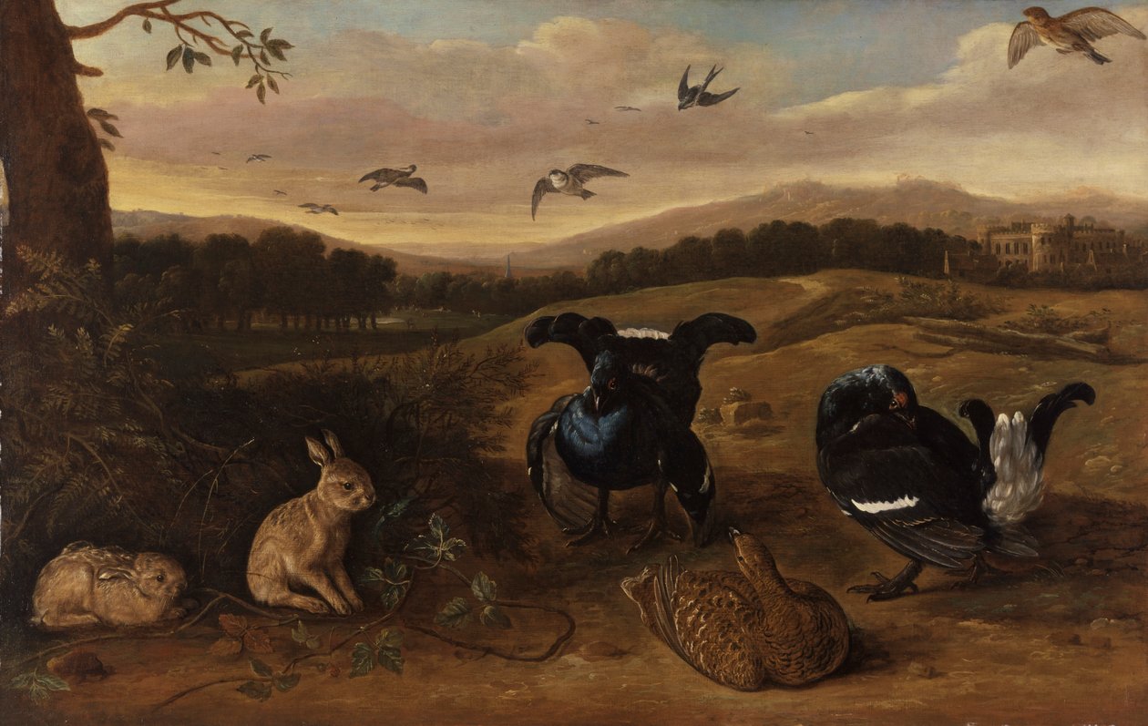 Selvaggina nera, conigli e rondini in un parco da Leonard Knyff