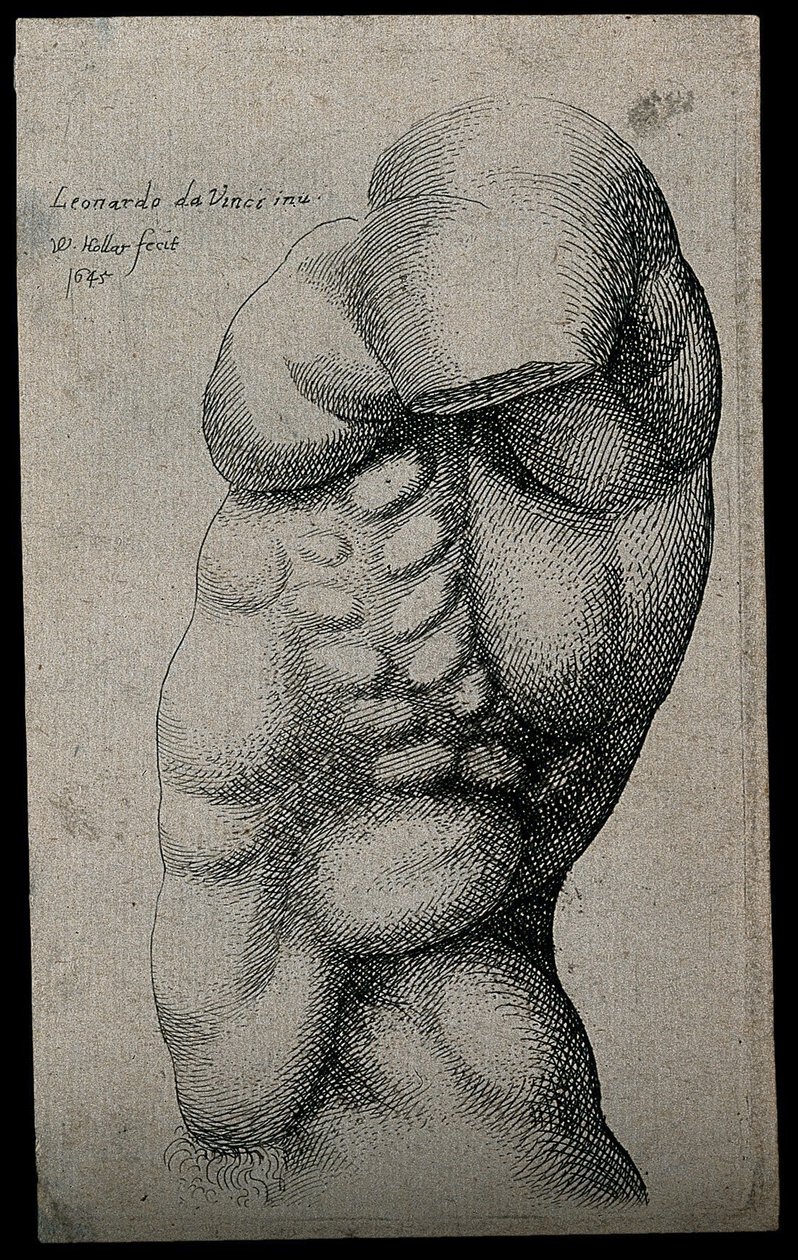 Un Torso Maschile senza un Braccio da Leonardo da Vinci
