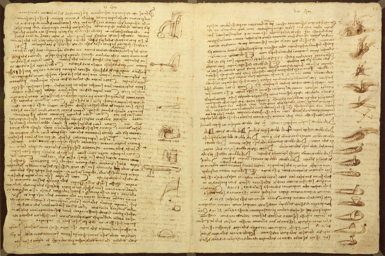 Una pagina dal Codice Leicester, 1508-12 da Leonardo da Vinci