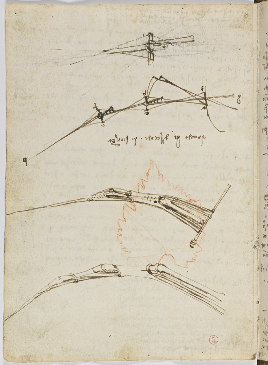 Codice sul volo degli uccelli, c. 1505-06, manoscritto su carta, cc. 18, foglio 11 verso da Leonardo da Vinci