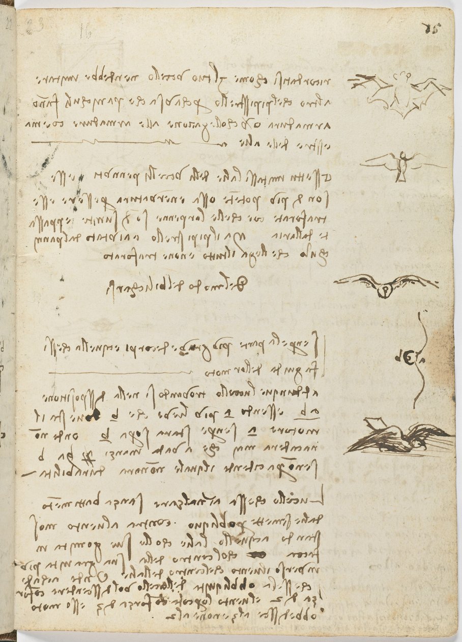 Codice sul volo degli uccelli, c. 1505-06, manoscritto su carta, cc. 18, foglio 15 recto da Leonardo da Vinci