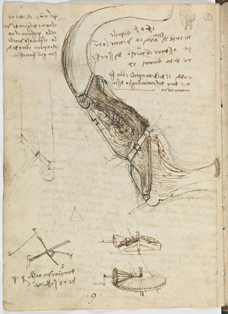 Codice del volo degli uccelli, c. 1505-06, manoscritto su carta, cc. 18, foglio 18 verso da Leonardo da Vinci