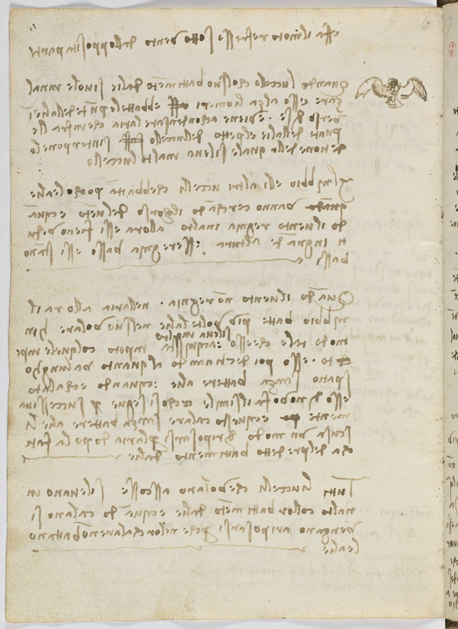 Codice sul volo degli uccelli, c. 1505-06, manoscritto su carta, cc. 18, foglio 5 verso da Leonardo da Vinci