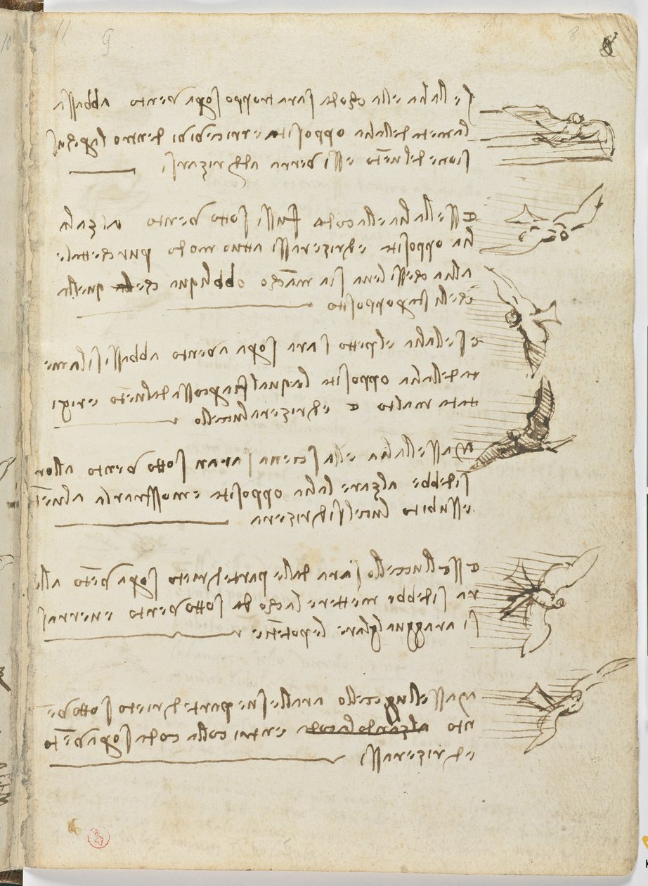 Codice sul volo degli uccelli, c. 1505-06, manoscritto su carta, cc. 18, foglio 8 recto da Leonardo da Vinci