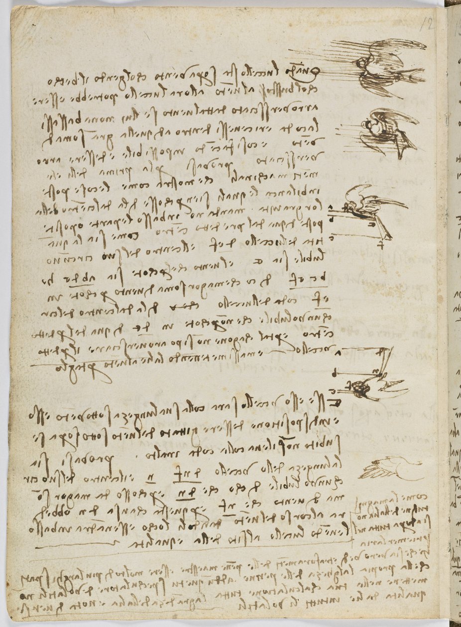 Codice sul volo degli uccelli, c. 1505-06, manoscritto su carta, cc. 18, foglio 8 verso da Leonardo da Vinci