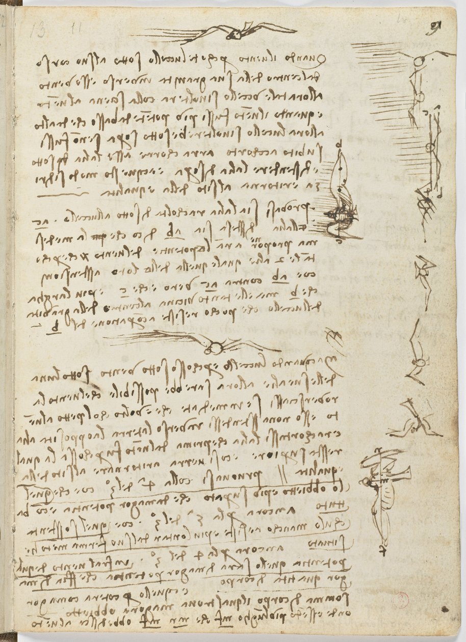 Codice sul volo degli uccelli, c. 1505-06, manoscritto su carta, cc. 18, foglio 9 recto da Leonardo da Vinci