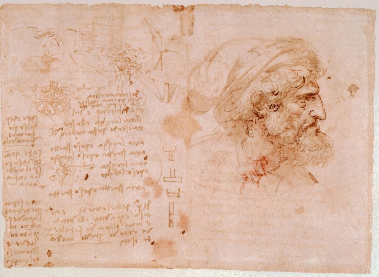 Studi di ornamenti fogliari / Ritratto di profilo di un uomo anziano da Leonardo da Vinci