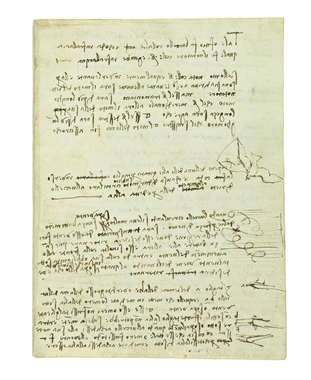 Codice sul volo degli uccelli, Folio 10 recto da Leonardo da Vinci