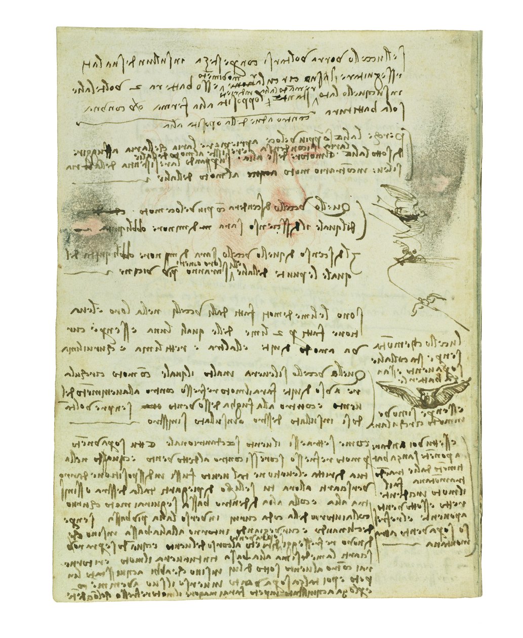 Codice sul volo degli uccelli, Folio 10 verso da Leonardo da Vinci