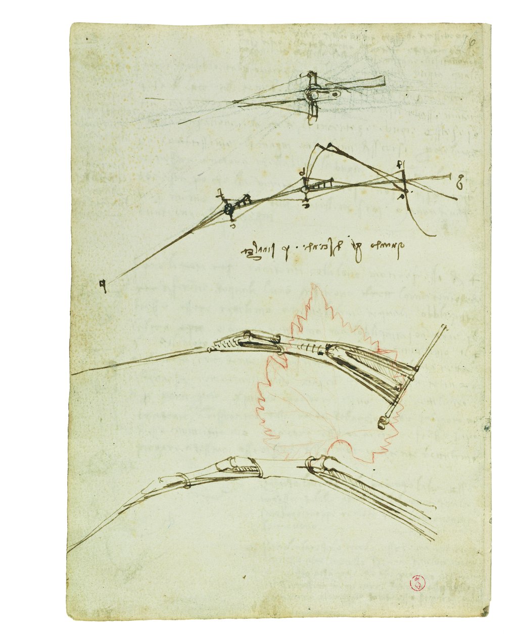 Codice sul volo degli uccelli, Folio 11 verso da Leonardo da Vinci