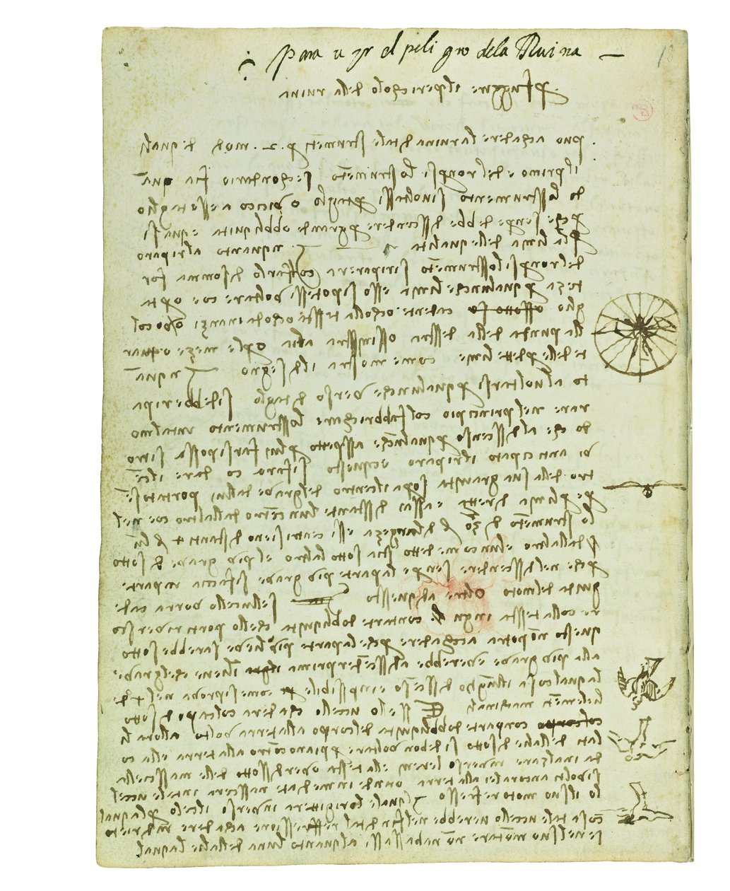 Codice sul volo degli uccelli, Folio 12 verso da Leonardo da Vinci